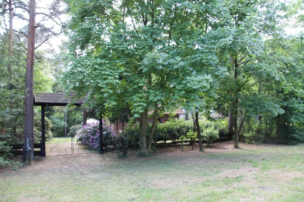 Ferienhaus Am Waldesrand Hatten エクステリア 写真