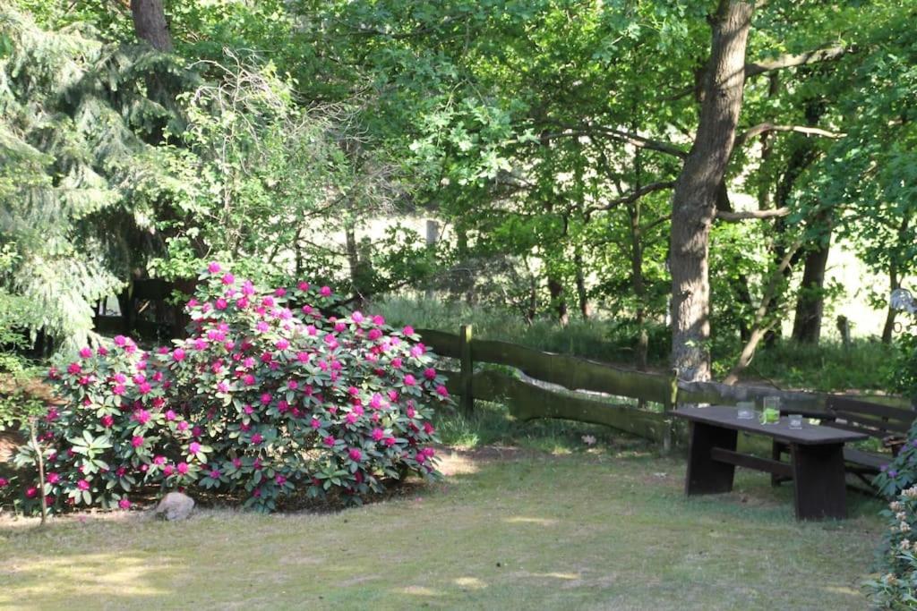 Ferienhaus Am Waldesrand Hatten エクステリア 写真