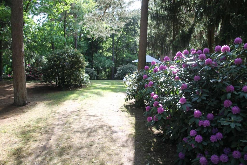 Ferienhaus Am Waldesrand Hatten エクステリア 写真
