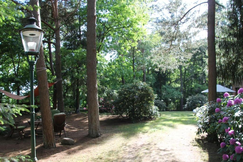 Ferienhaus Am Waldesrand Hatten エクステリア 写真