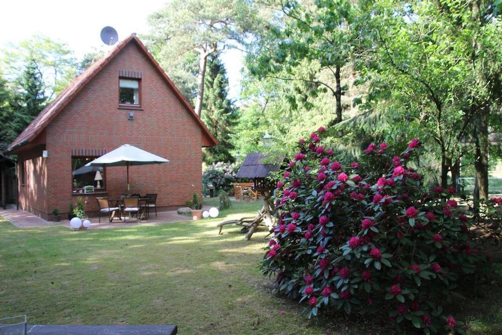 Ferienhaus Am Waldesrand Hatten エクステリア 写真